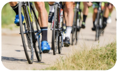 Vélos.png